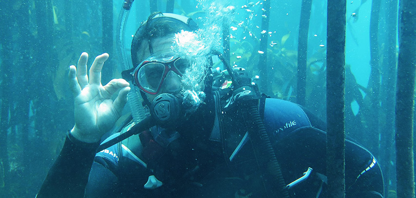 things-to-do-scuba-diving-winter-cape-town